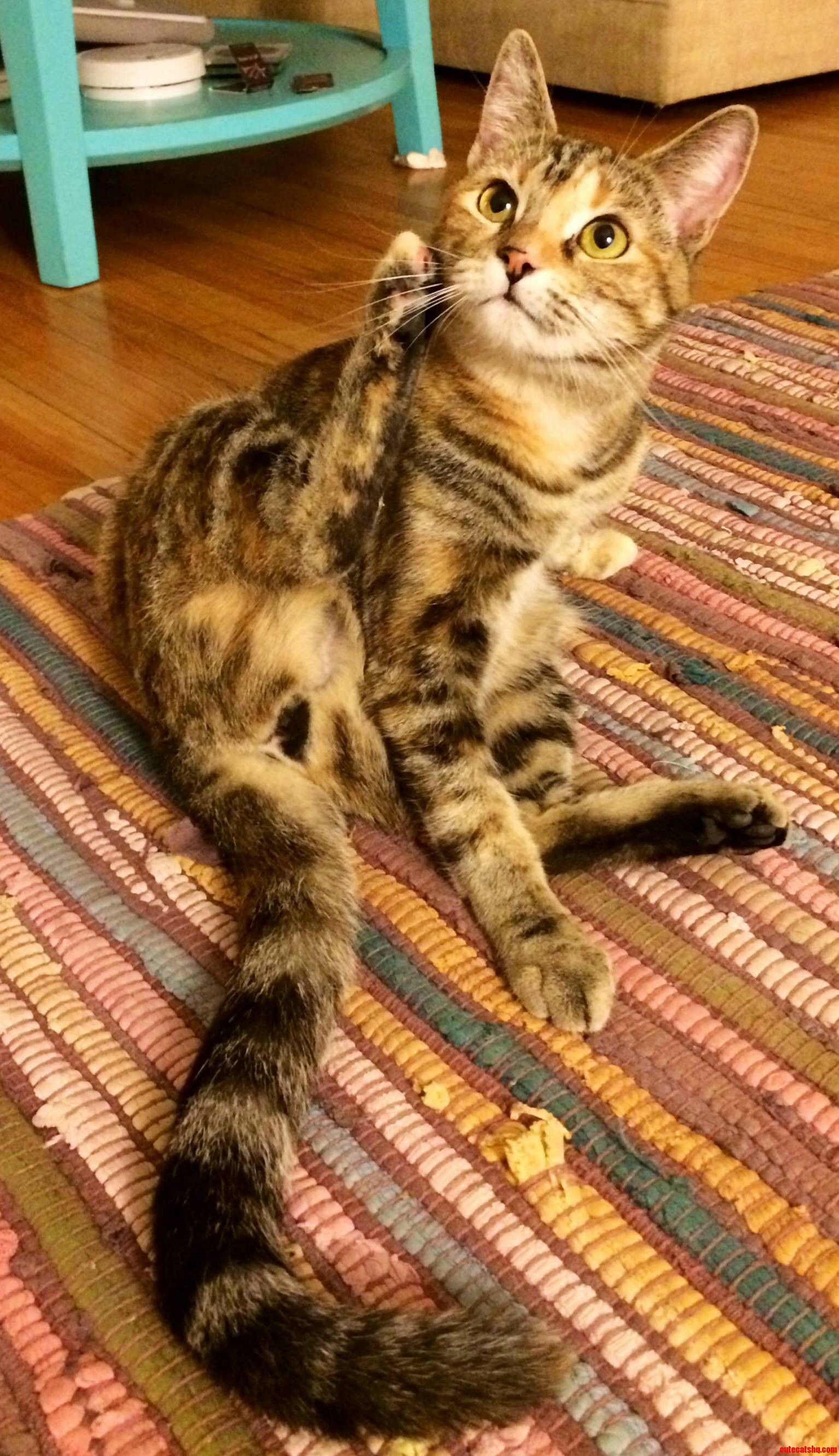 Maya Put Your Lady Parts Away