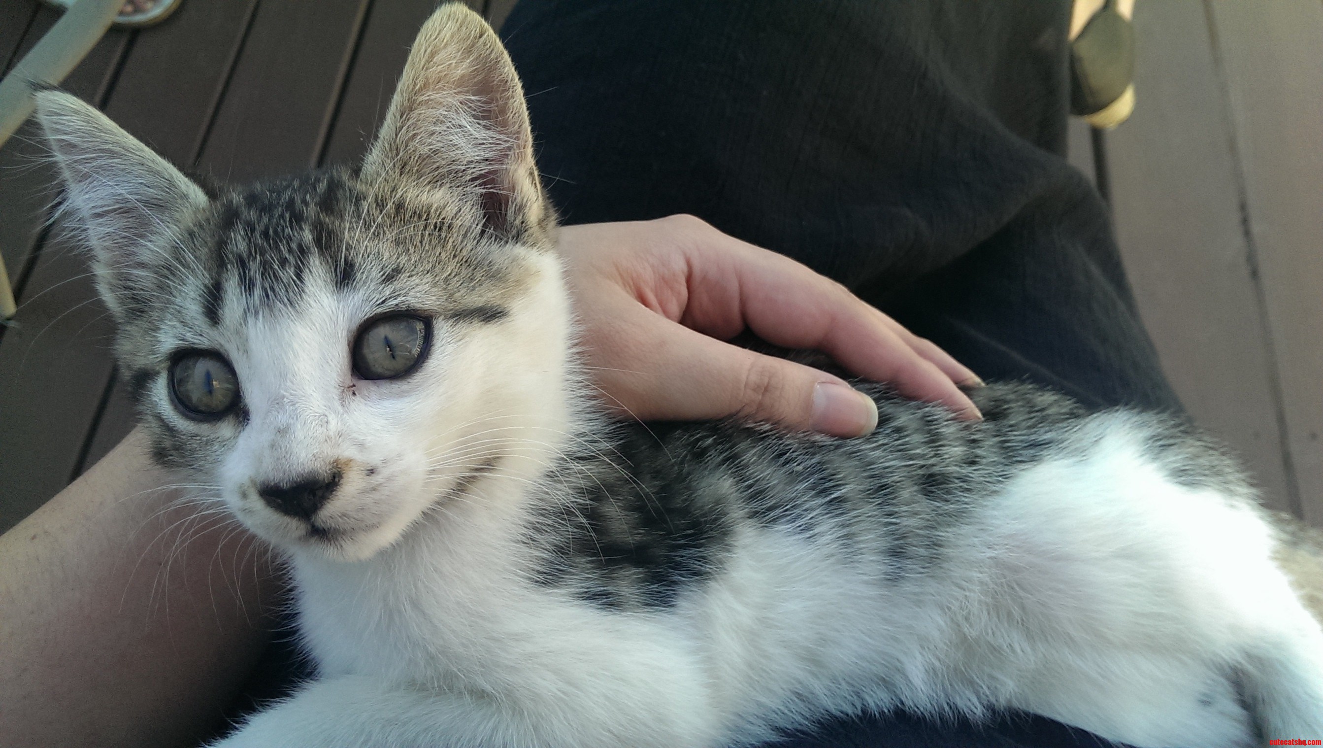 Meet Alejandro. He Wears Eyeliner.