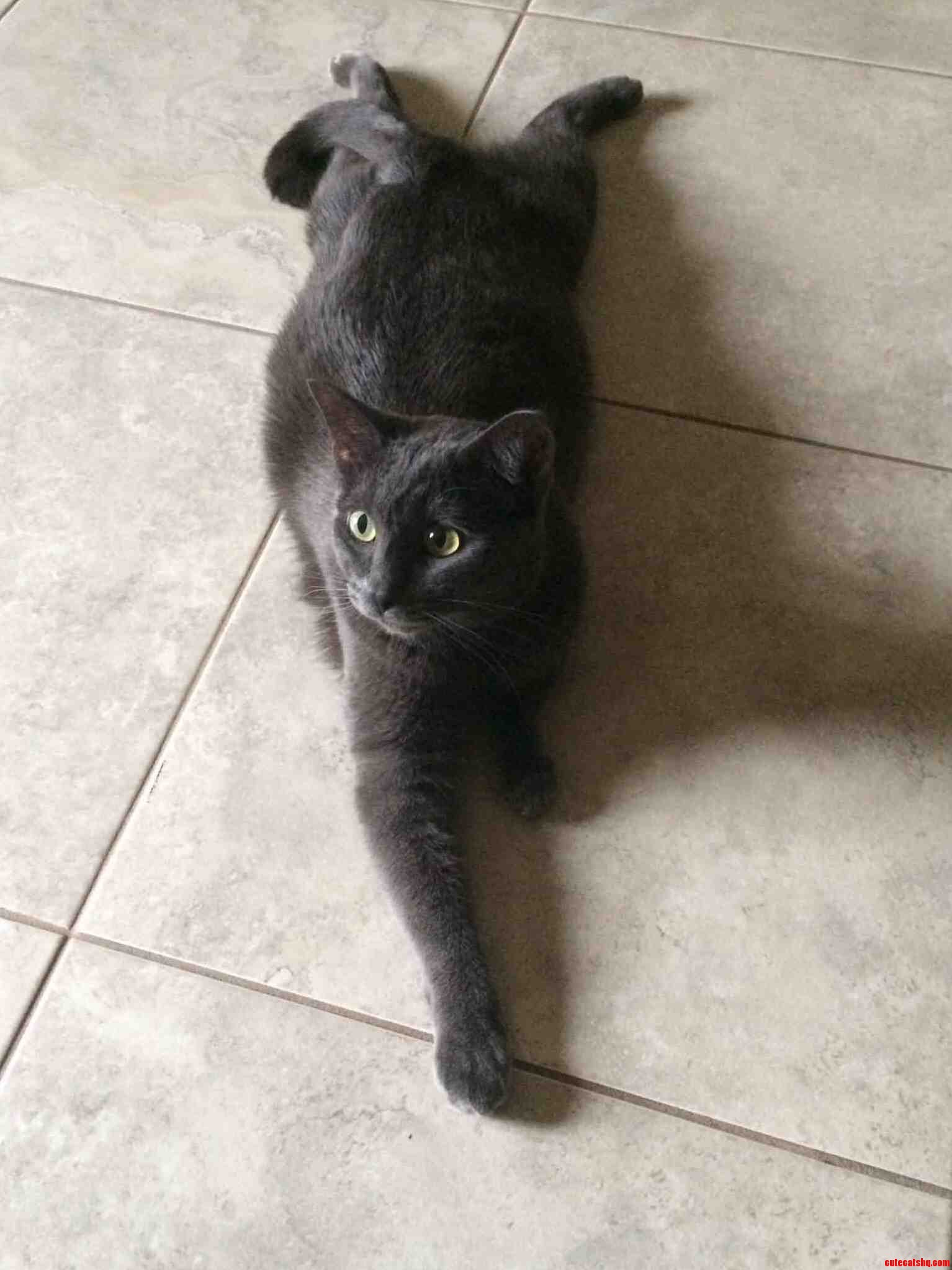 Meet Avenel...my Sweet Boy