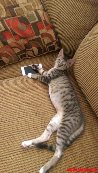 Meet Mza She Takes My Calls
