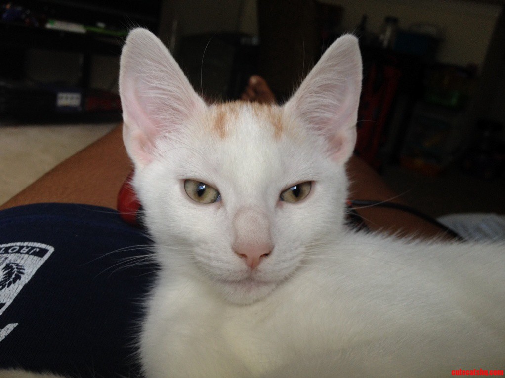 Meet Vladimir 3