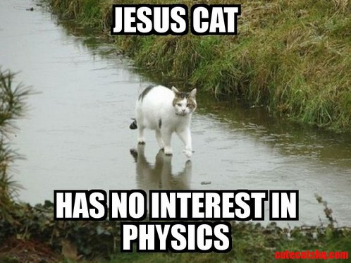 Meowracles I Got Nothin