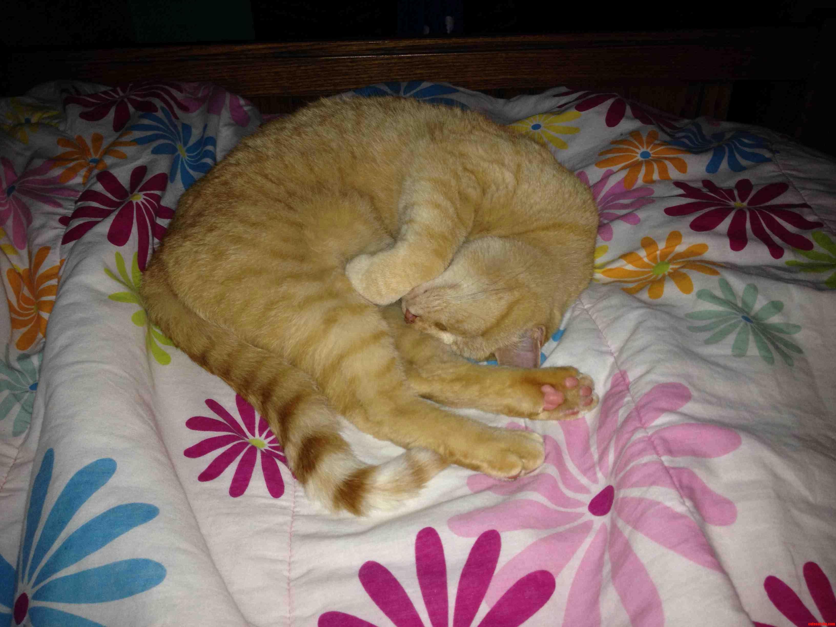 Milo Can Be Such a Weirdo Sometimes.