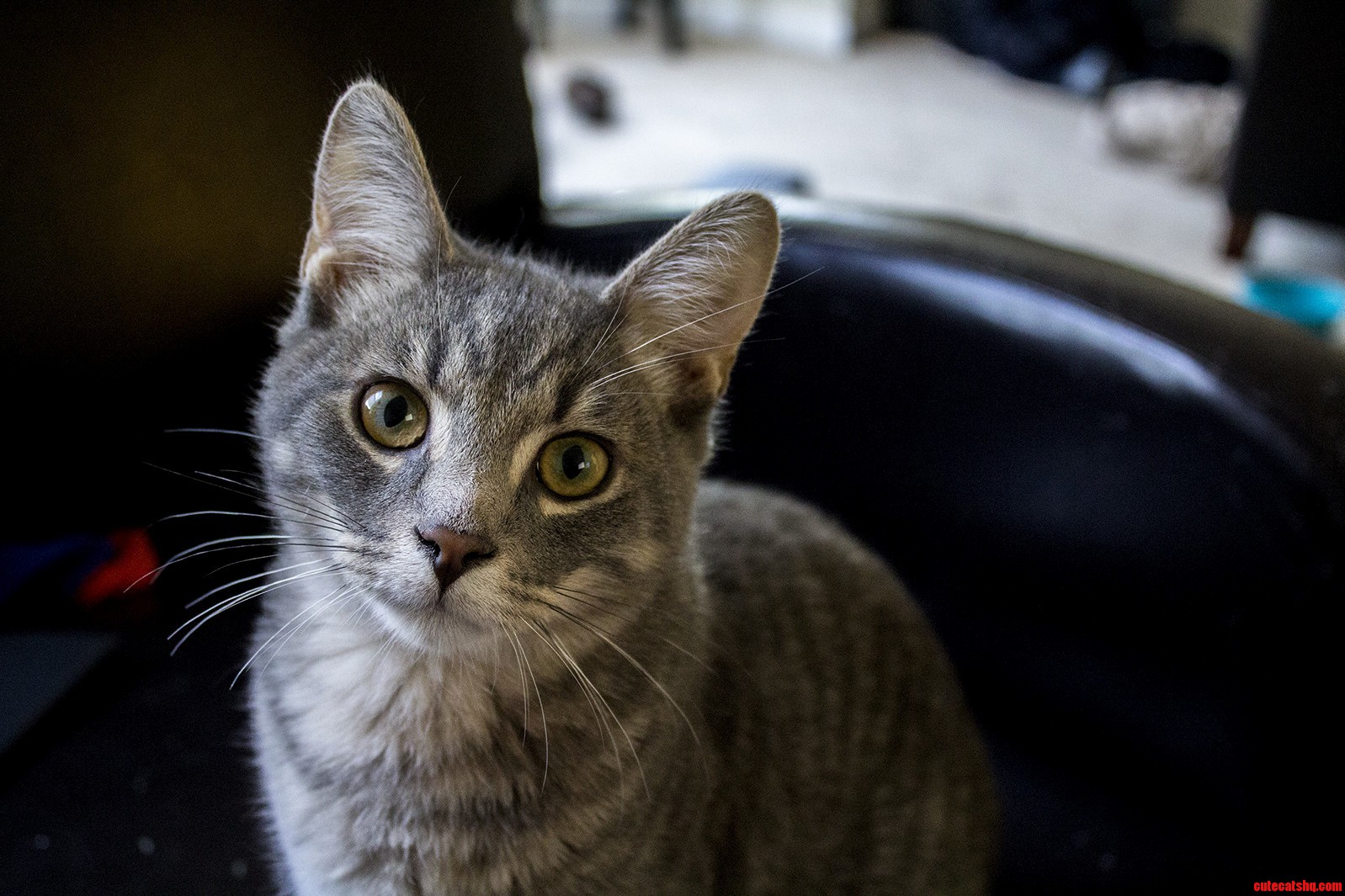 Milo Is Growing Up to Be Quite the Handsome Young Man