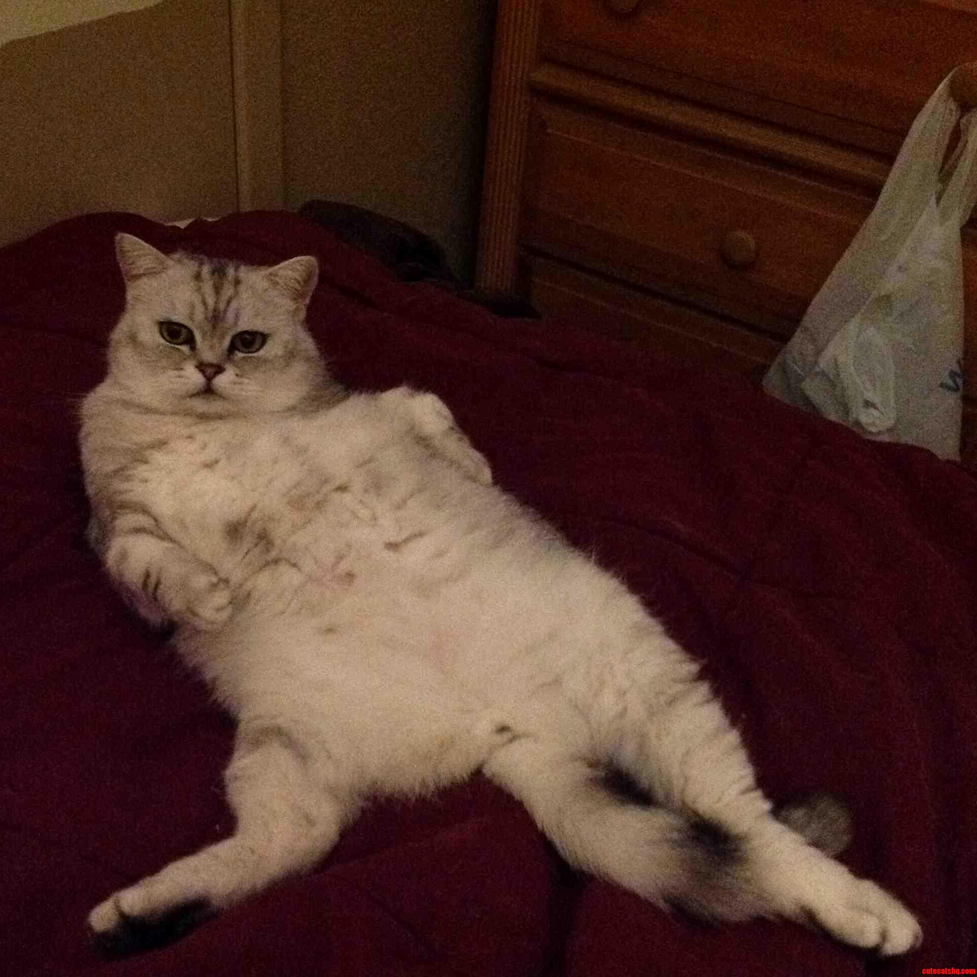 Mr. Pickles Has Zero Cares As Well.