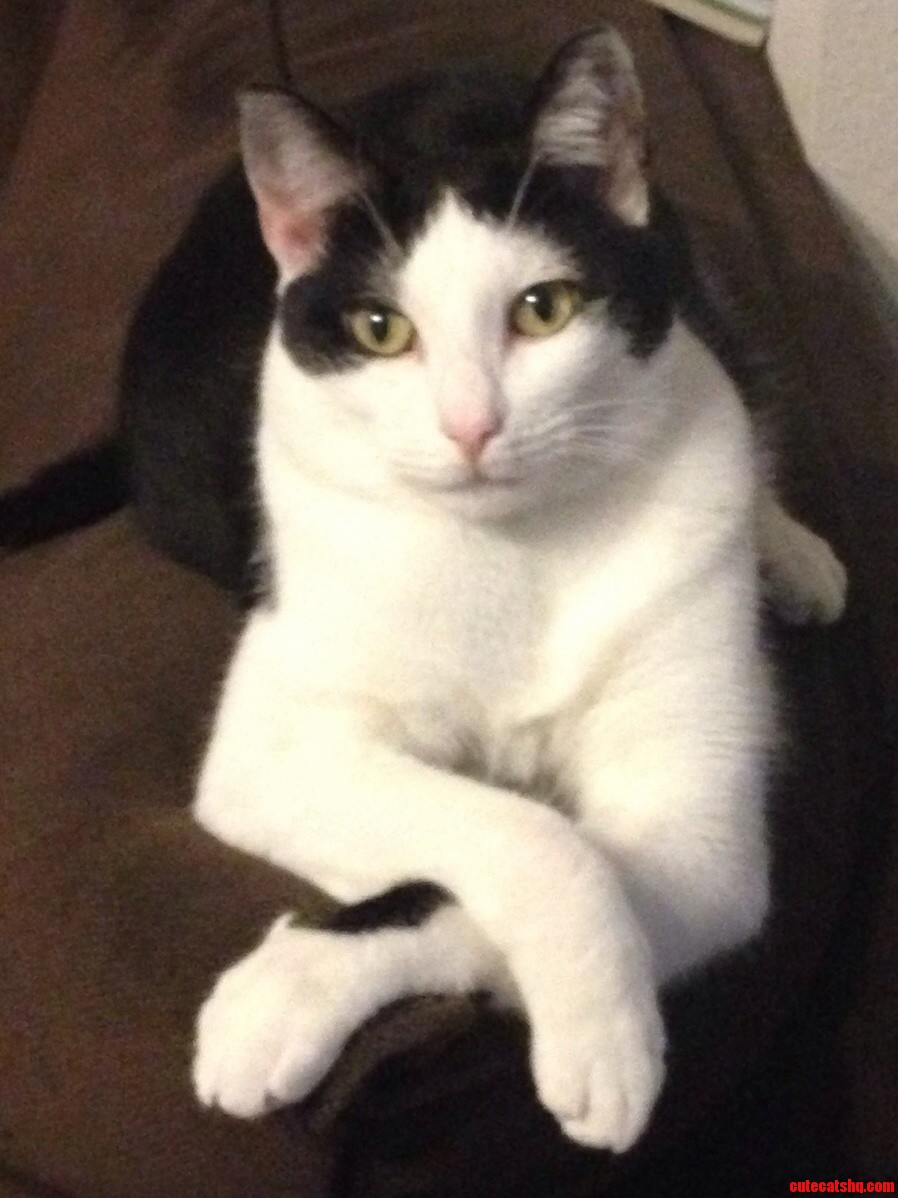 My 1 Year Old Bandit.