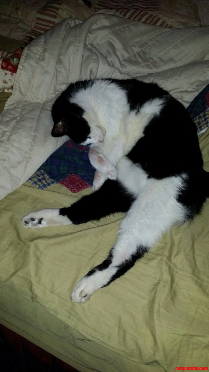 My 18 Yr Old Sleeping Beauty