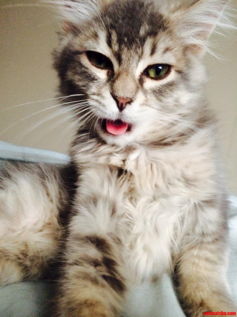 My Attempt at Capturing His Beauty.