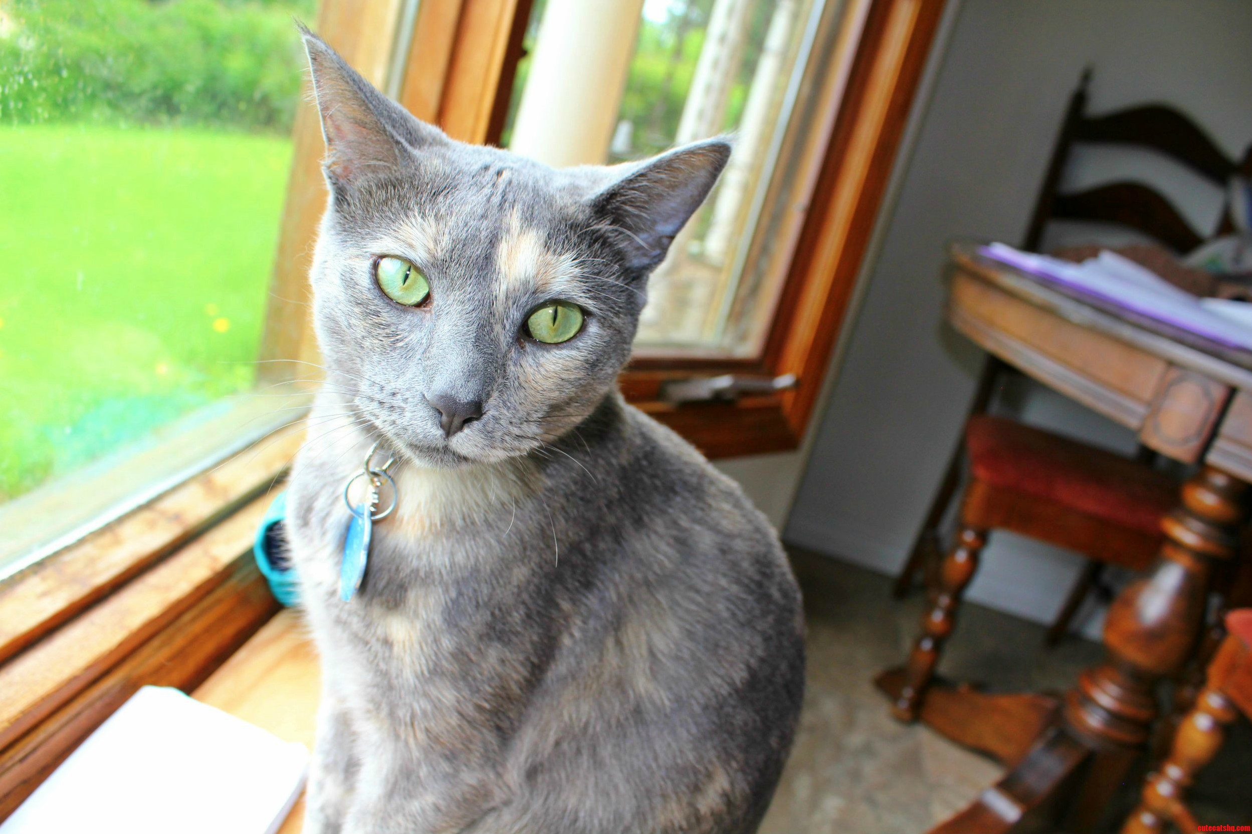 My Beautiful Bella