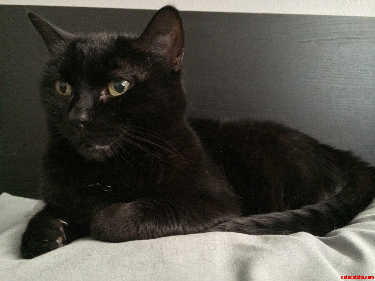 My Black Beauty.
