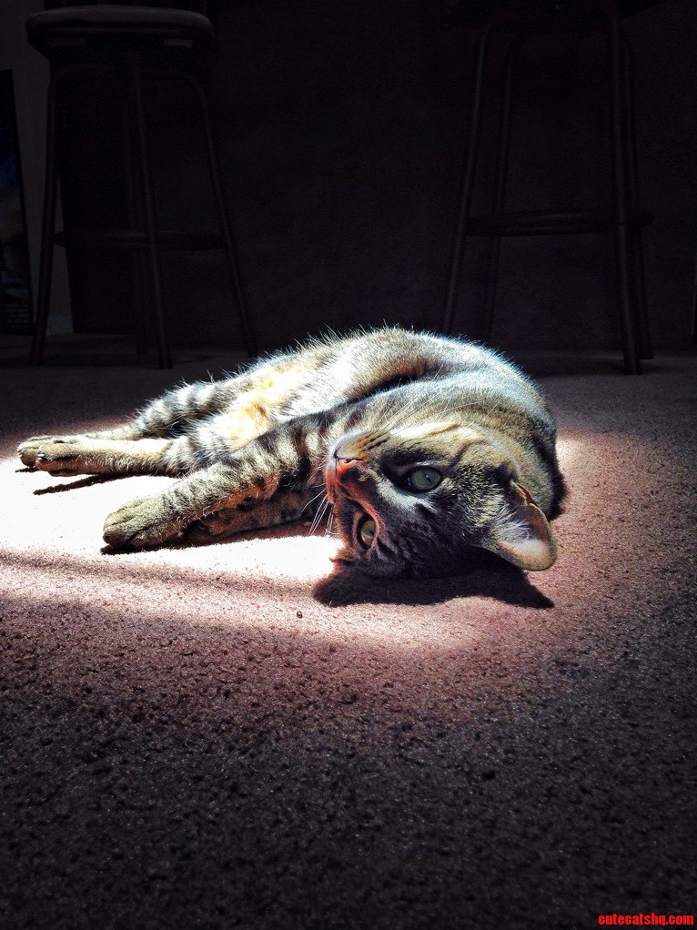My Boy Archer Sun Bathing.