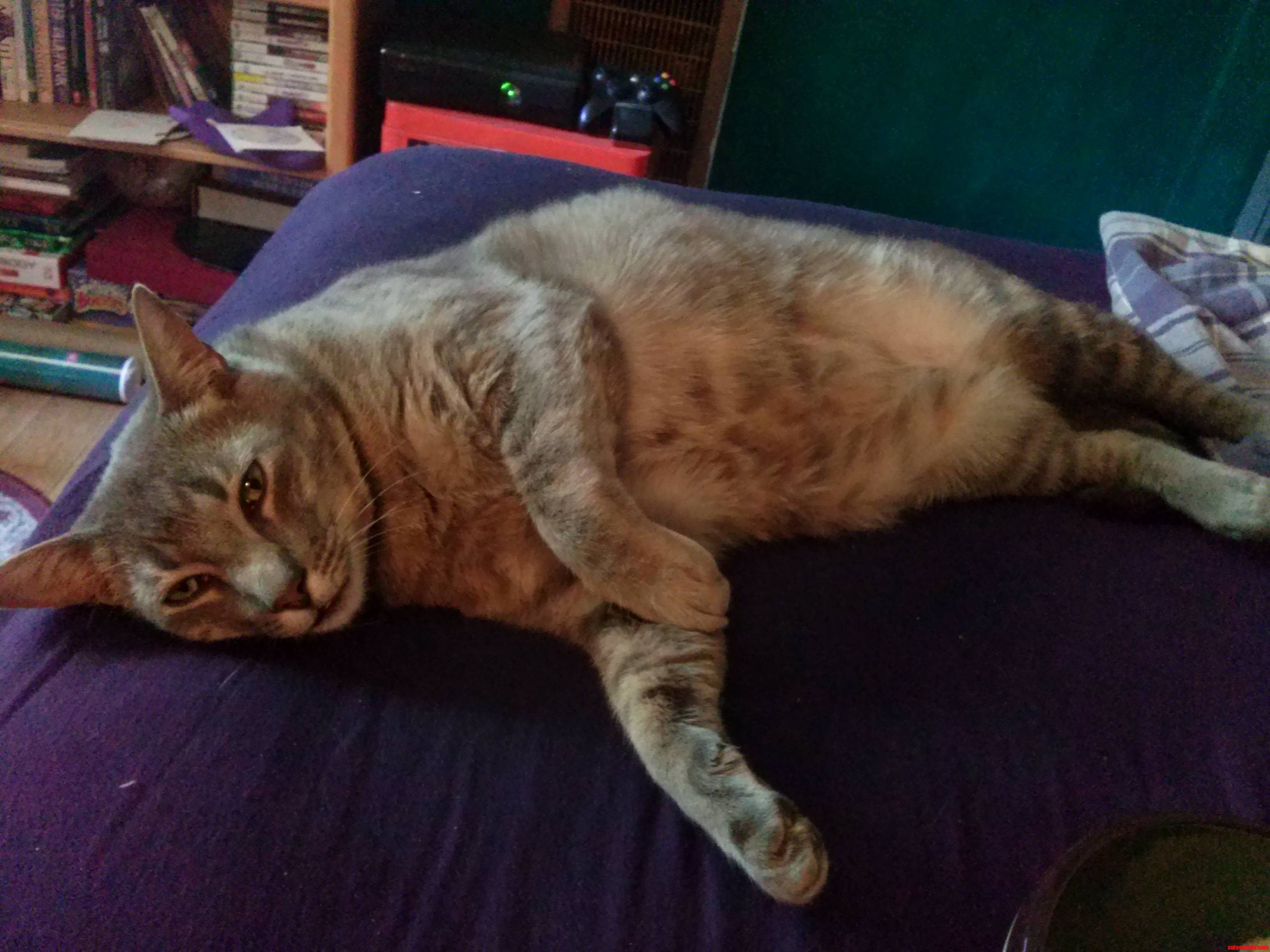 My Breakfast Buddy Looks a Little Annoyed with Me...