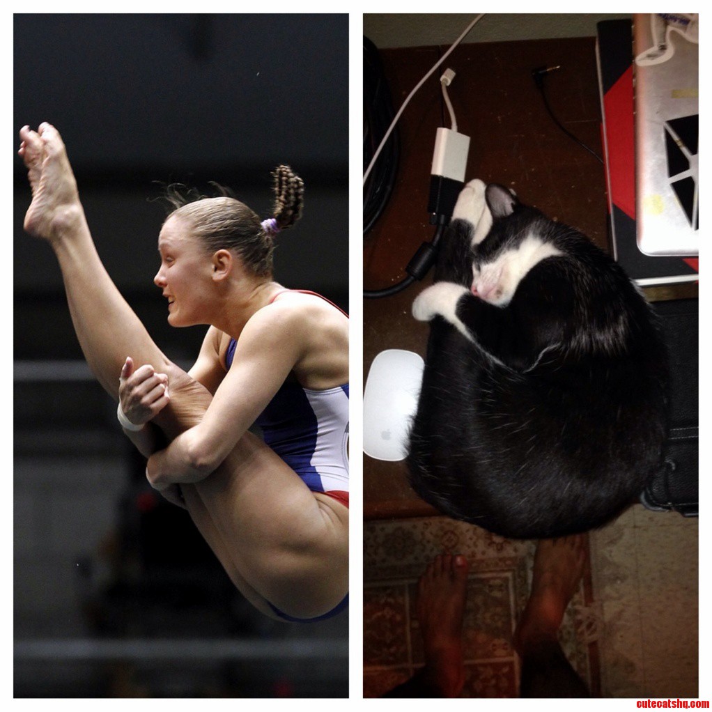 My Cat Likes to Imitate Athletes Sometimes.