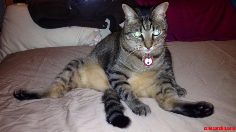 My Graceful Little Princess