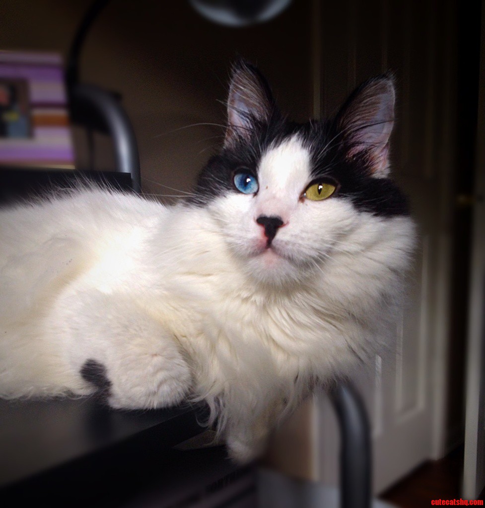 My Handsome Man.