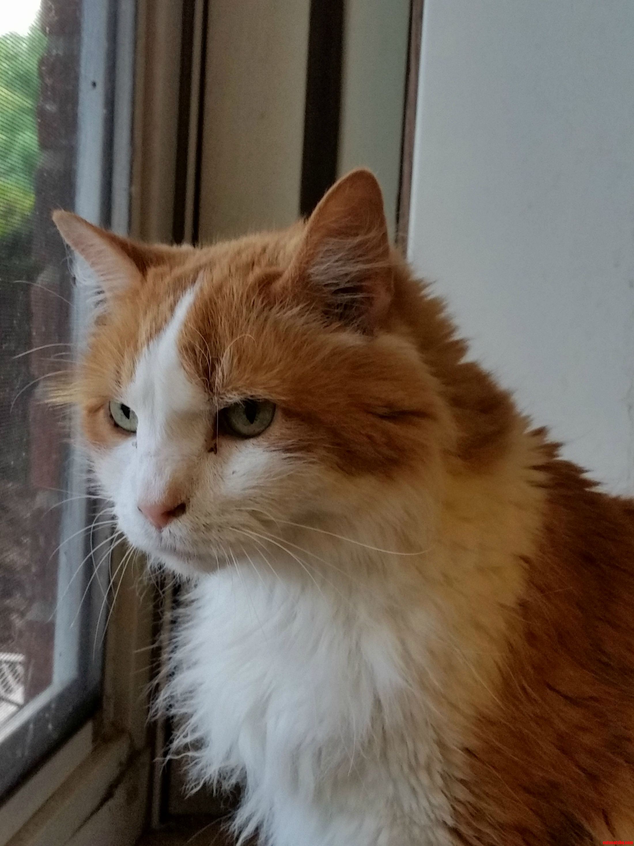 My Old Boy Is 11 Now