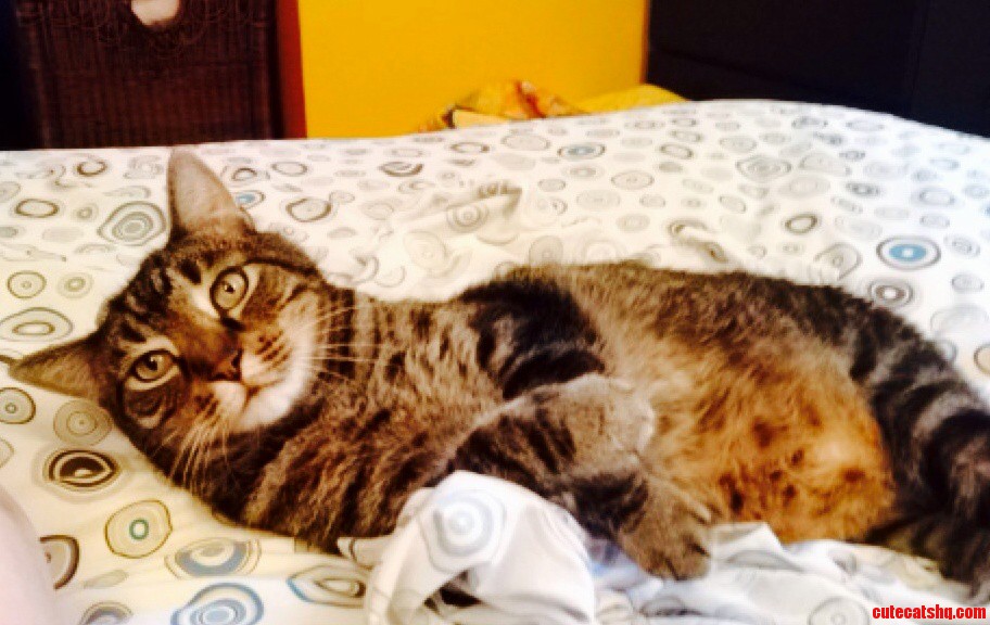 My Old Man Is So Handsome