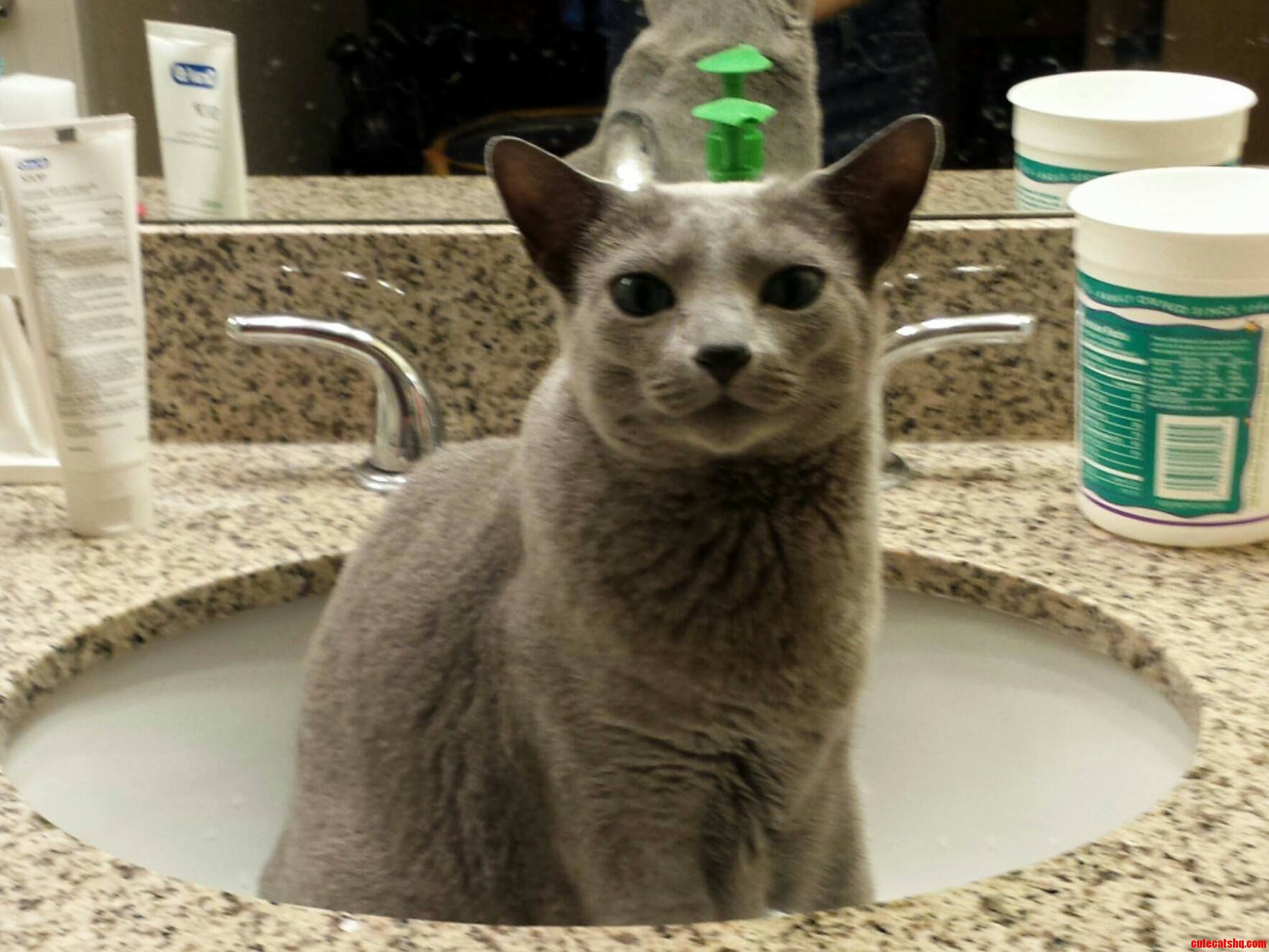 My Sink Now