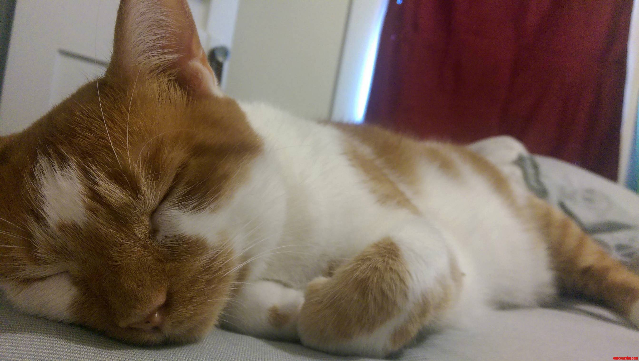 My Sweet Sleepin Boy Ten Speed.