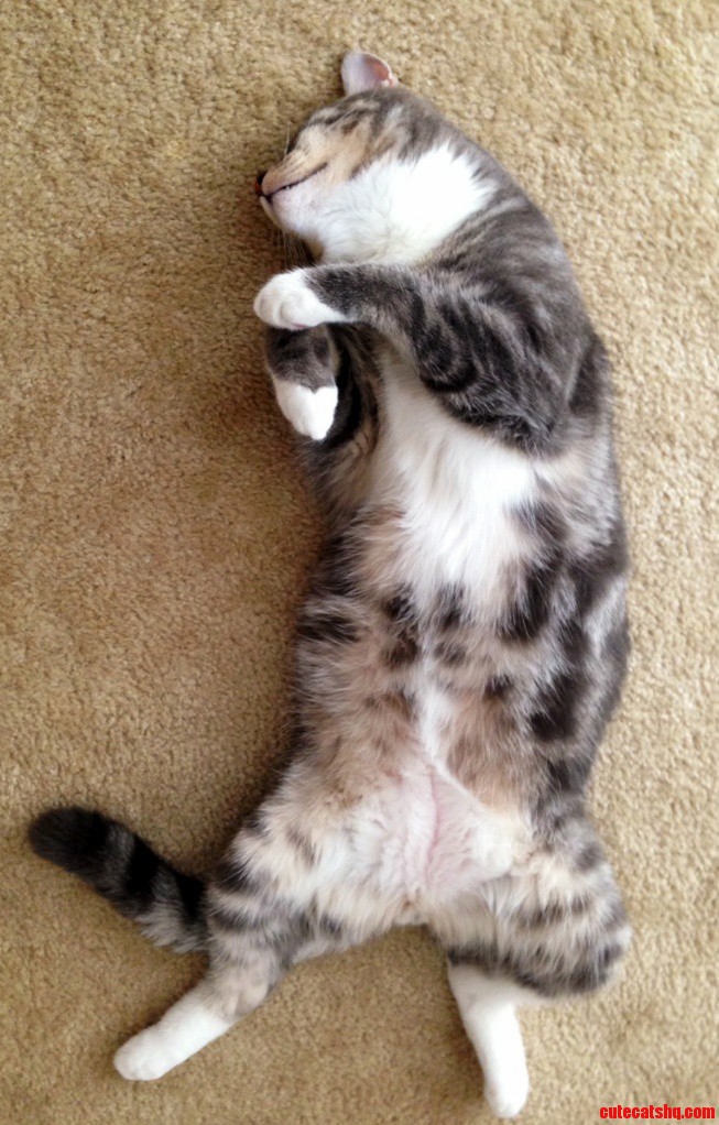 Nap Time