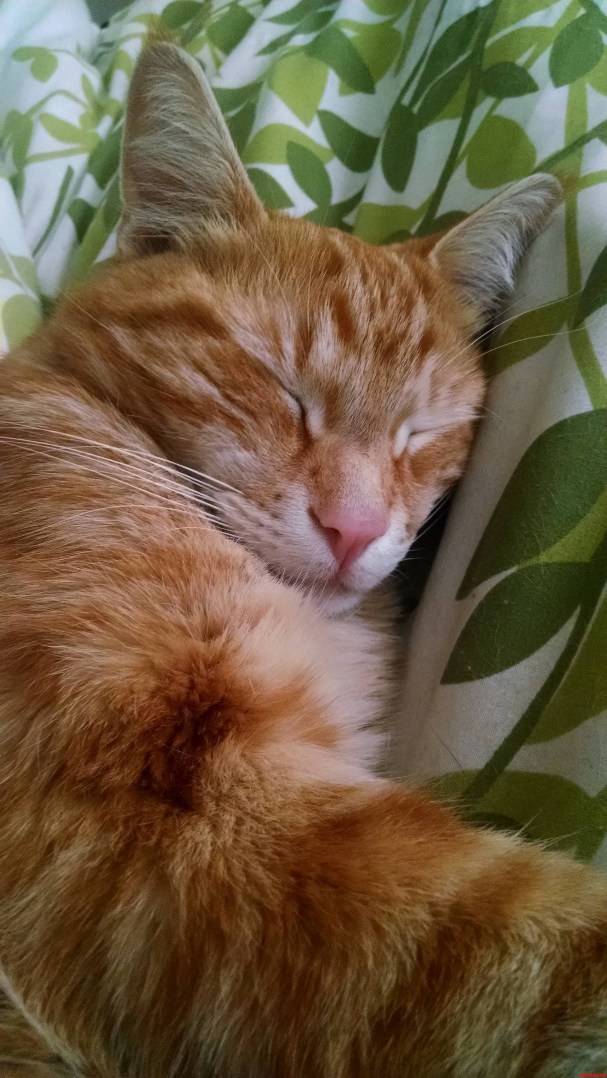Naptime with Jack