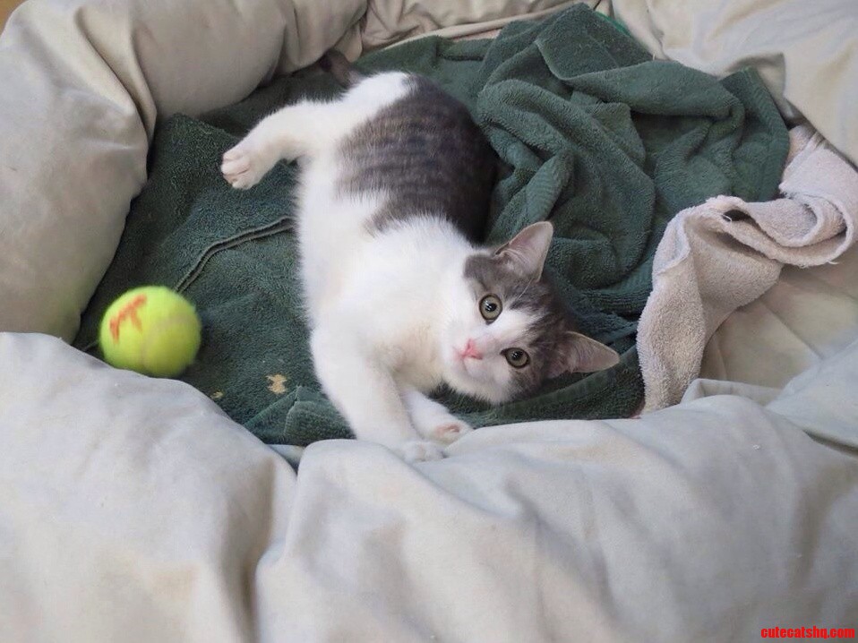 New Little Friend. Wild but Sweet.
