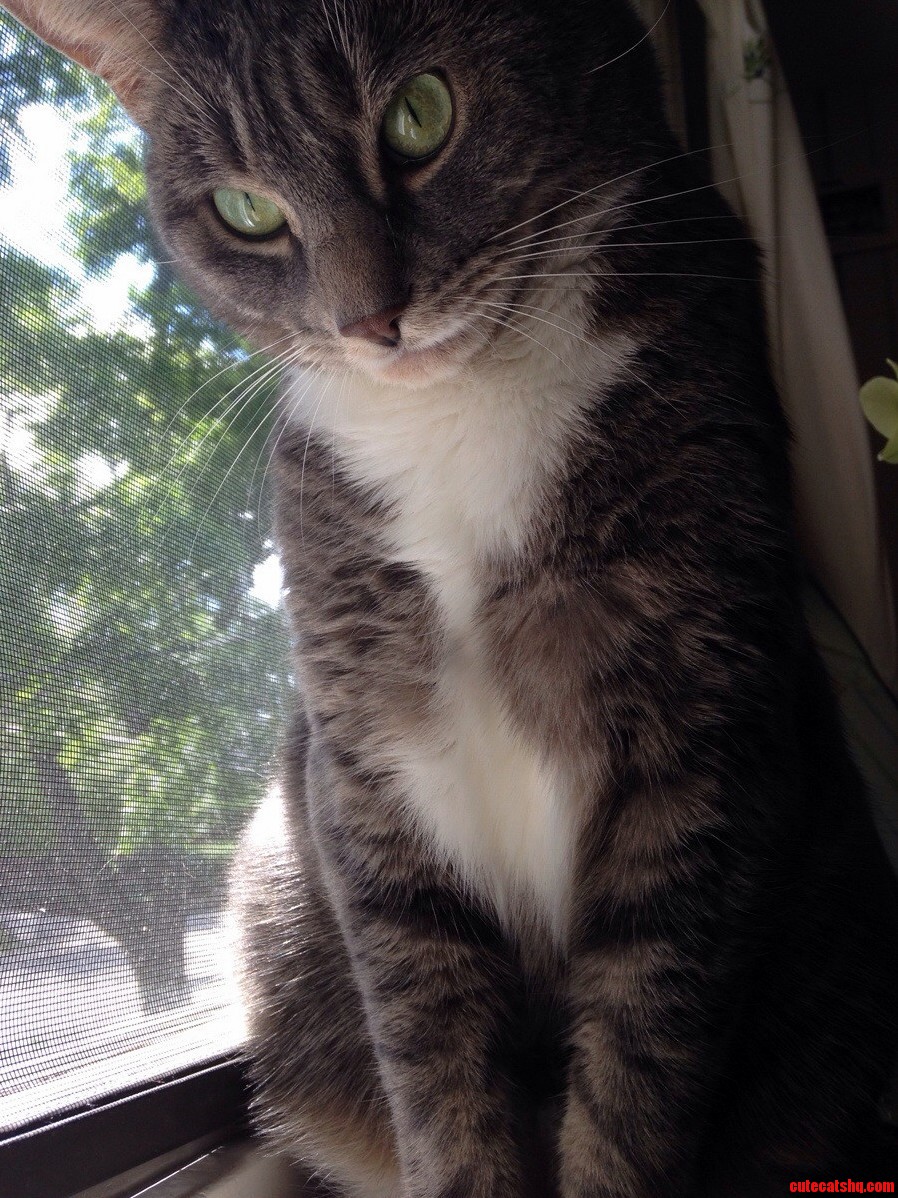Nico Looks Like a Villain Sometimes