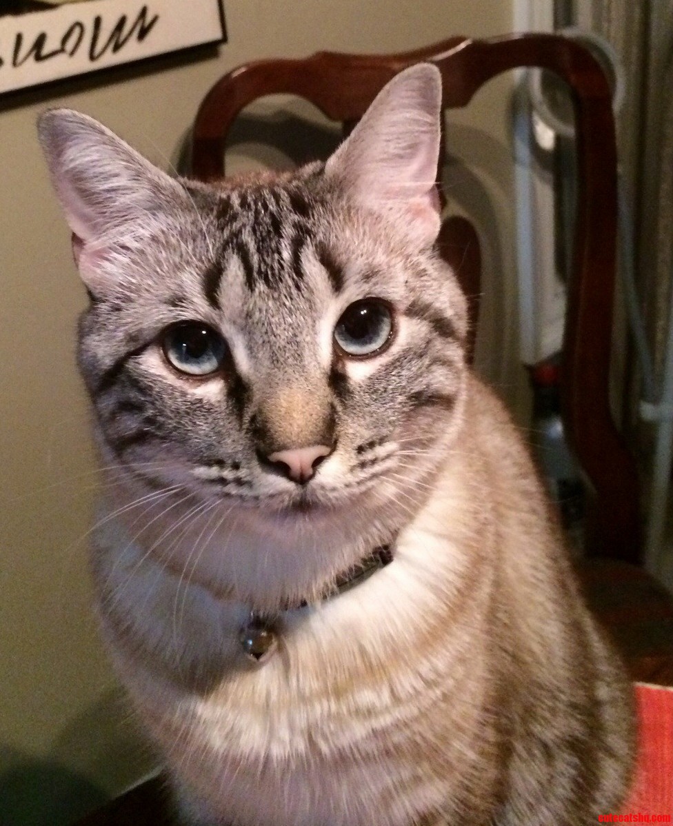 Nigel Looking Very Handsome.