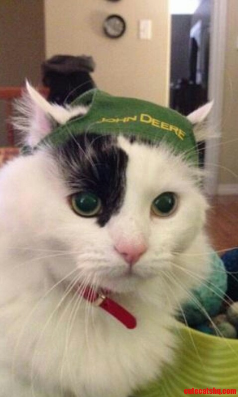 Oh Deere