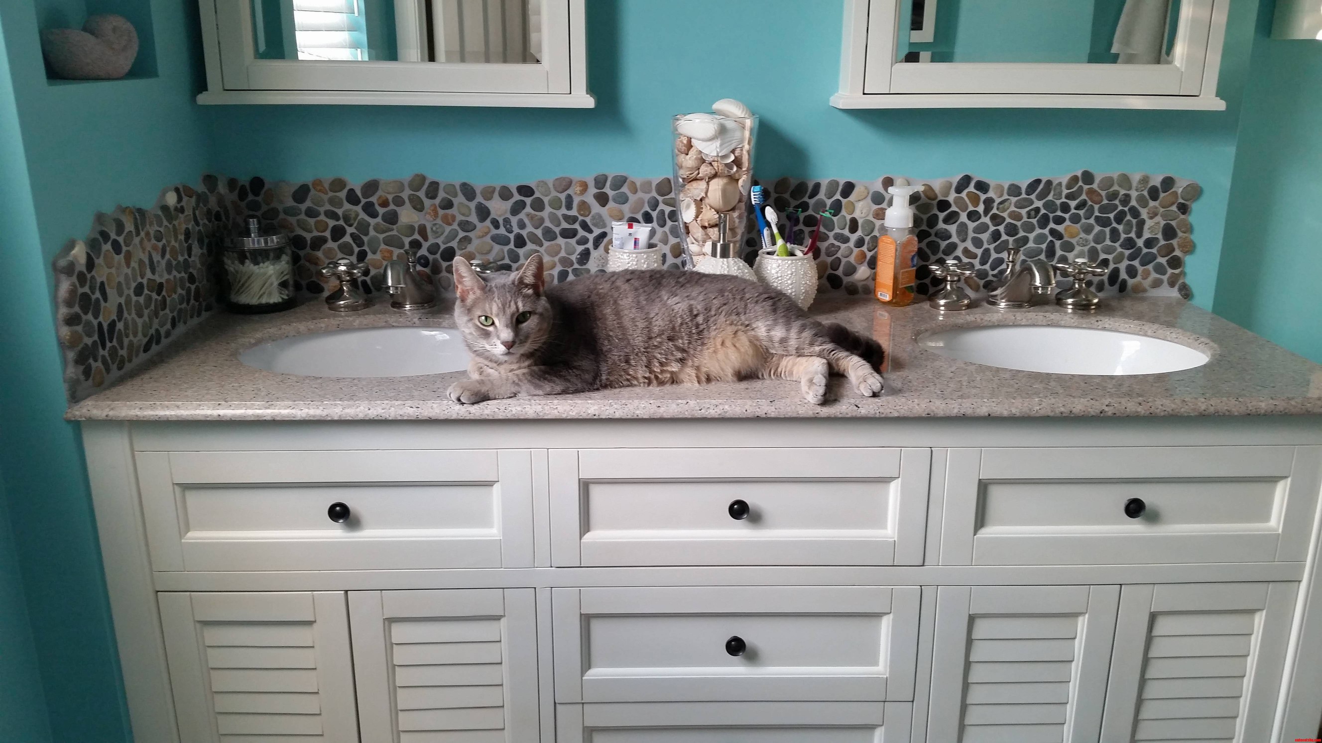 One Month After the Bathroom Remodel She Has Made Herself at Home.