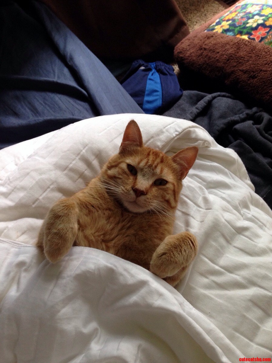 Otis Relaxing.