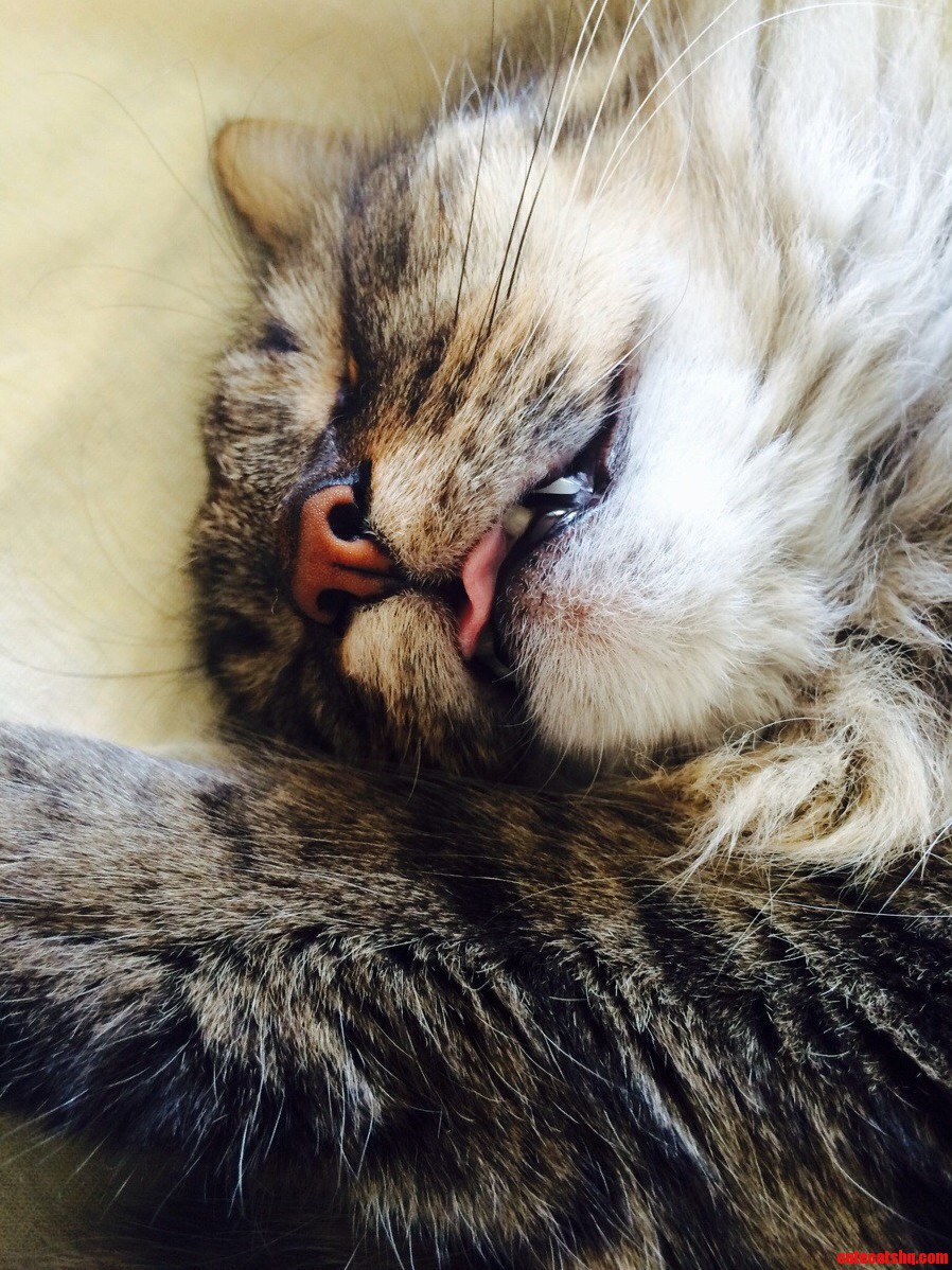 Passed. Out.