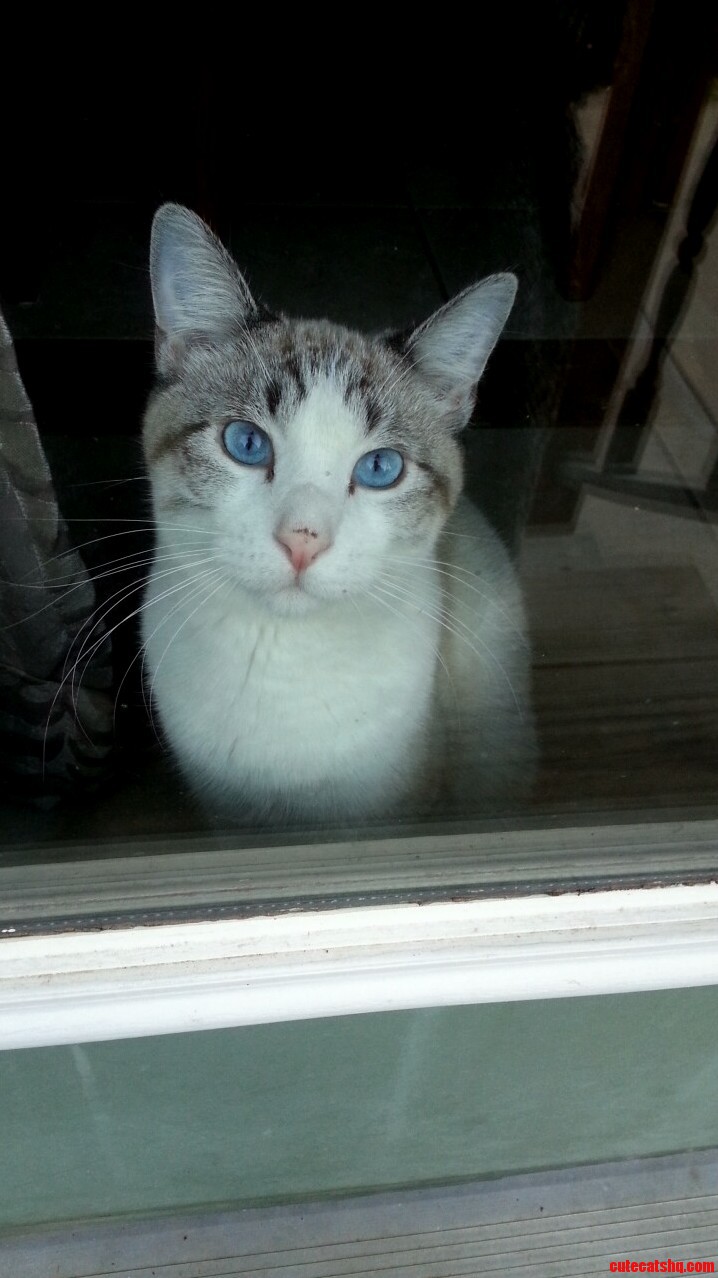 Pretty Boy.