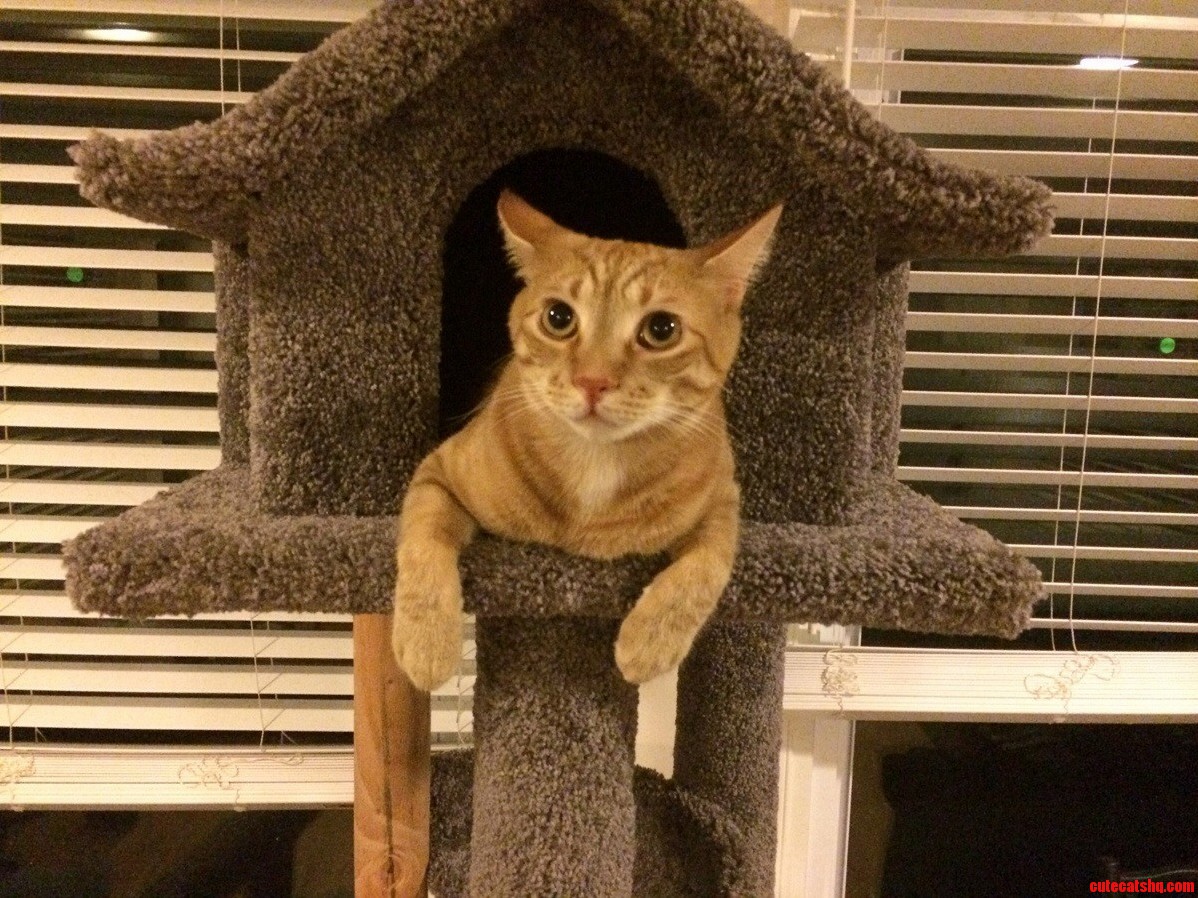 Prince in His Palace Says No Pics Please