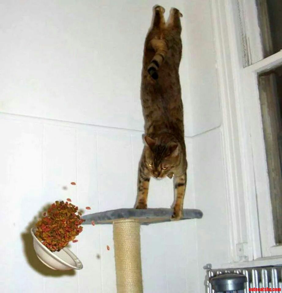 Puurfect Timing