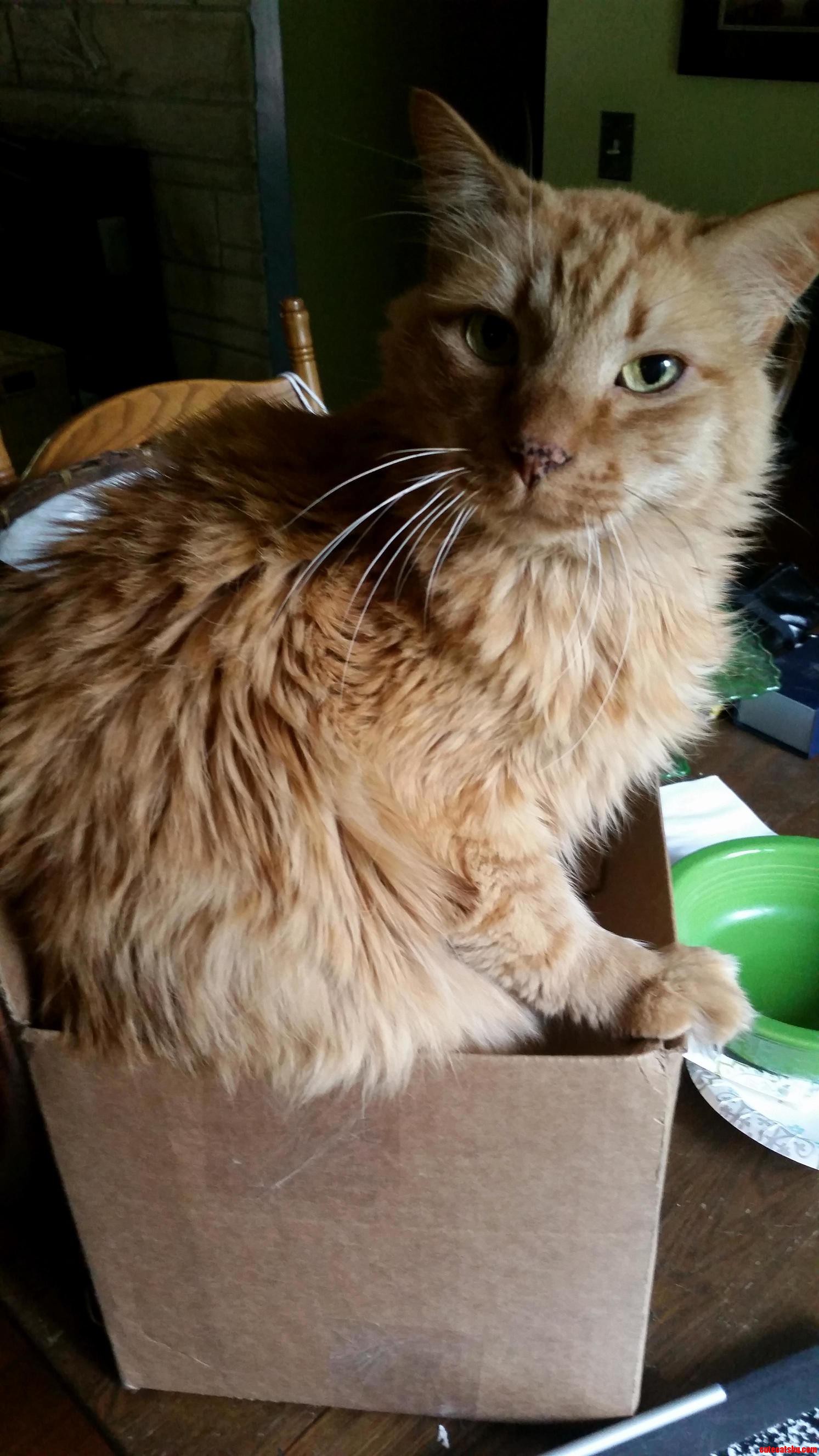 Rory Fittin and Sittin