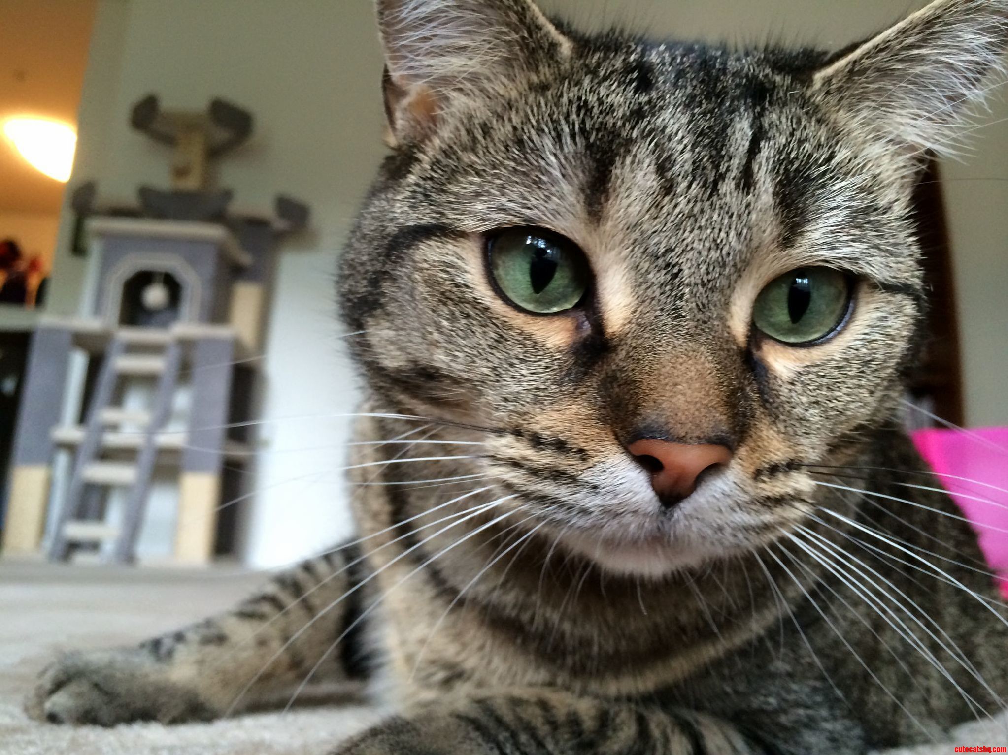 Ruby Being Beautiful