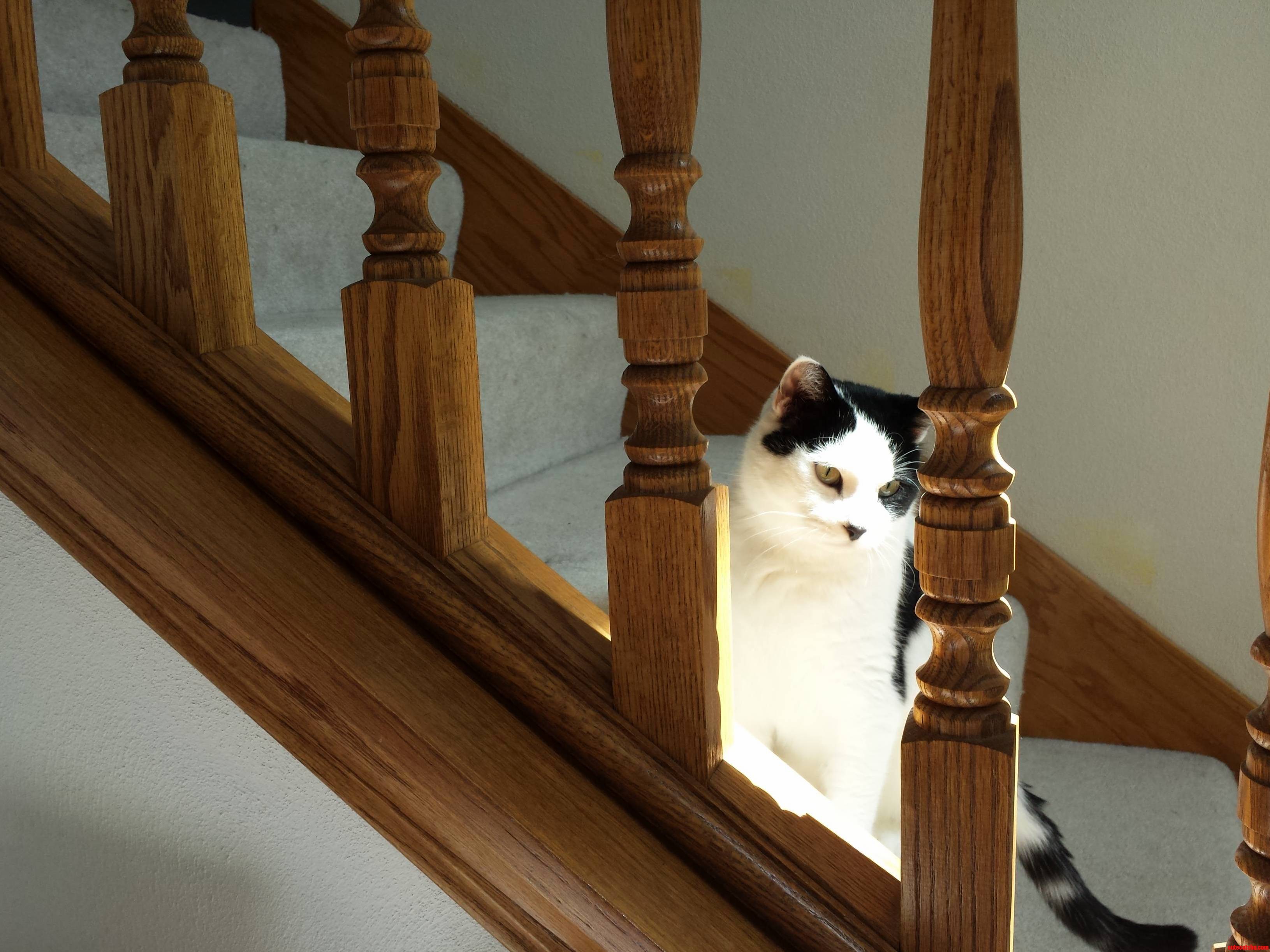 Sabrina Gazing Upon Her Kingdom