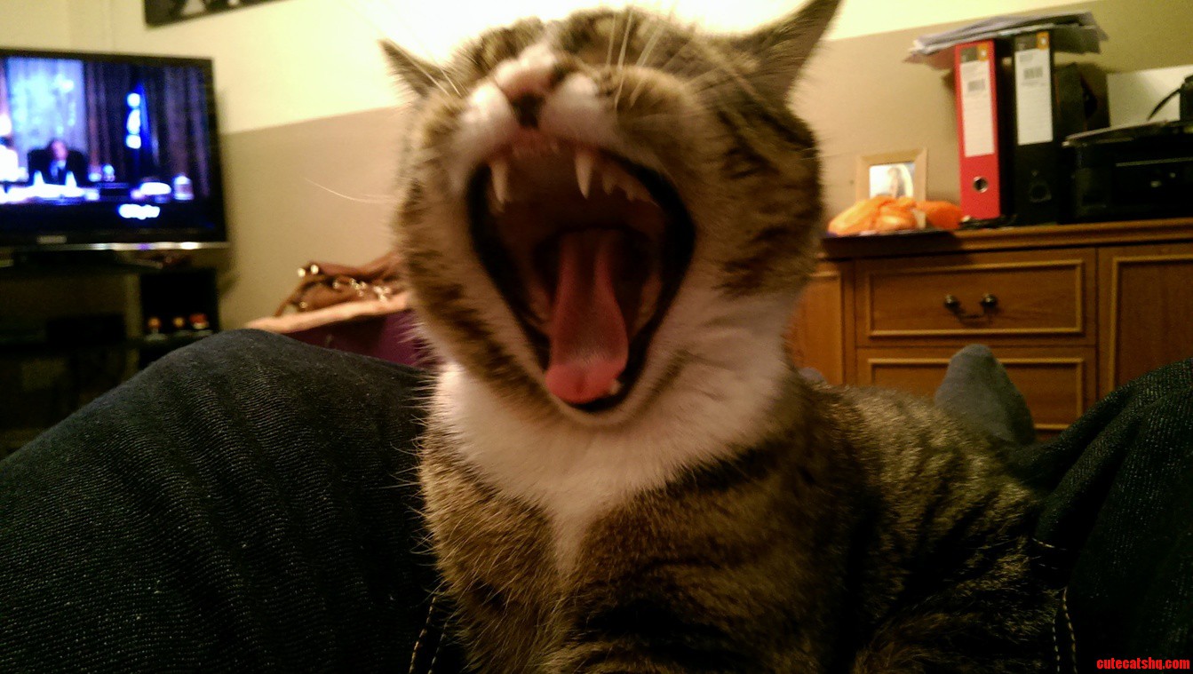 Say Ahh
