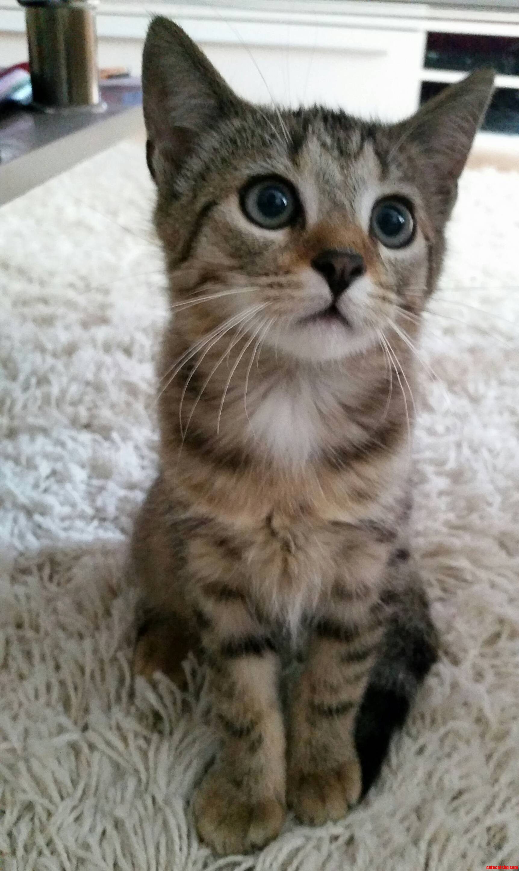 Say Hello to My Little Friend