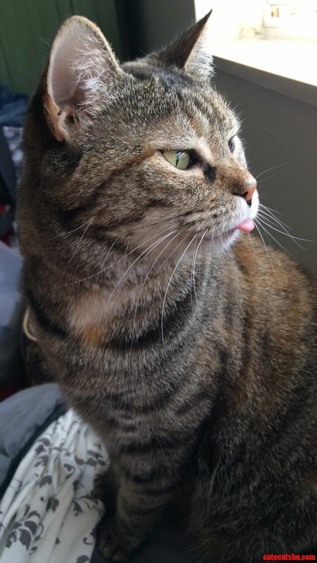 She Always Has Her Tongue Out