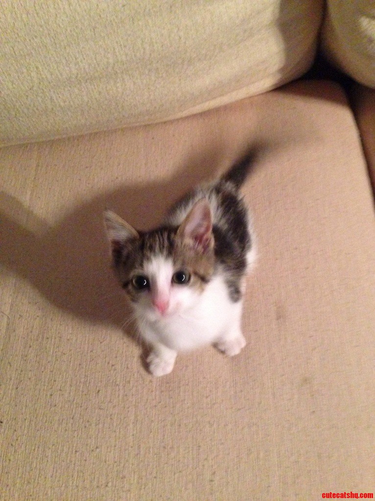She Does Not Sit Still This Is a Once in a Lifetime Opportunity Pic.