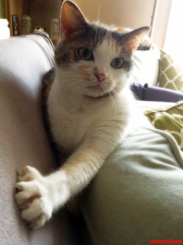 She Just...sits Like This Sometimes.