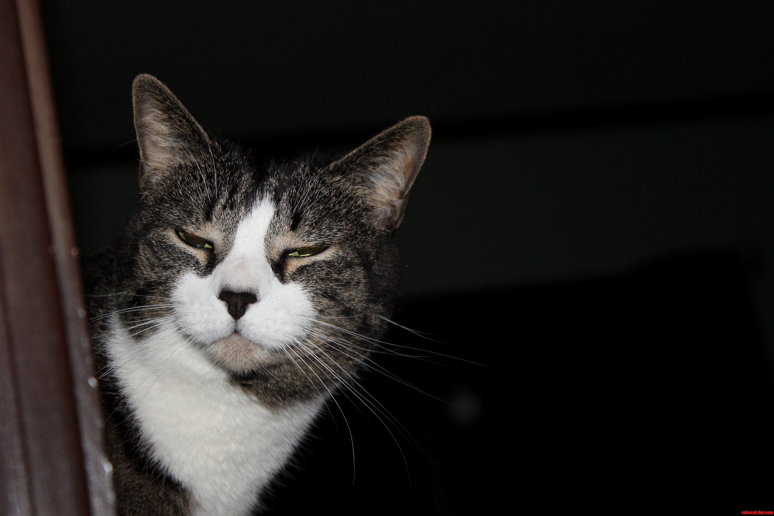She Makes This Face Every Time She Sees a Camera.