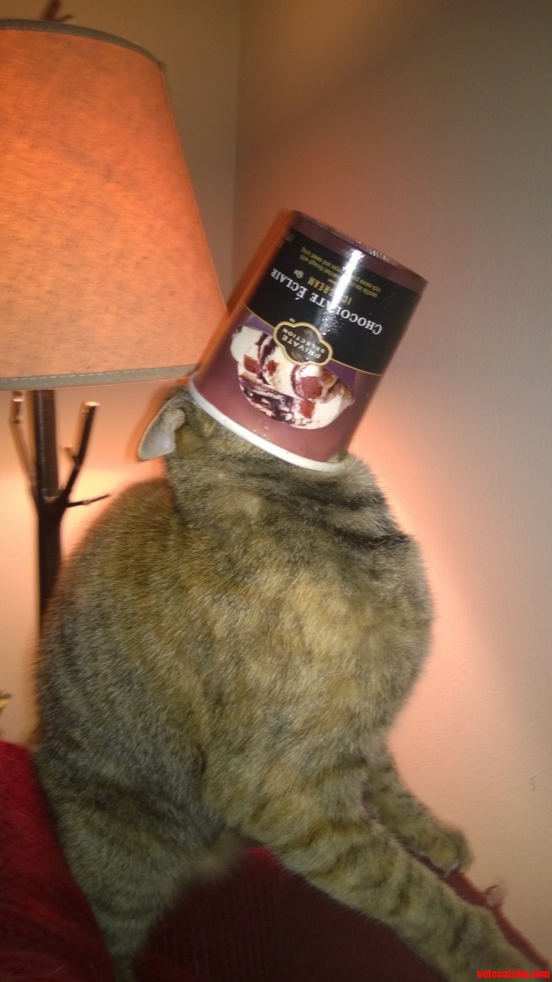 She Really Wanted It.