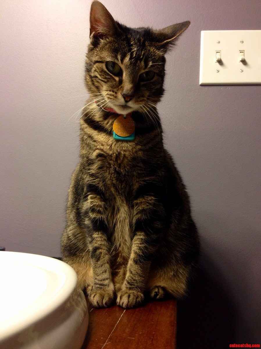 She Sits and Looks at Me Like This Every Night While Im Getting Ready for Bed.