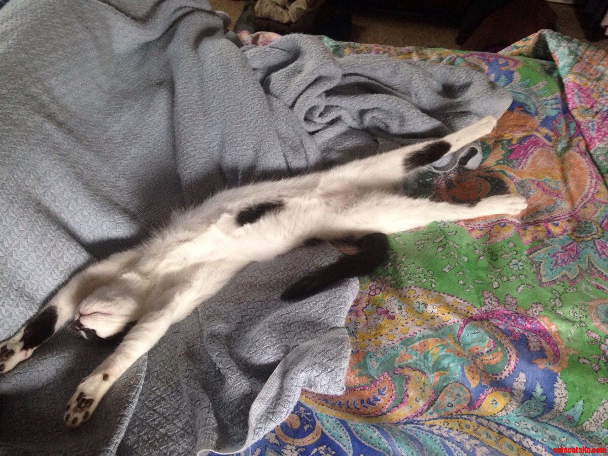 She Sleeps Long