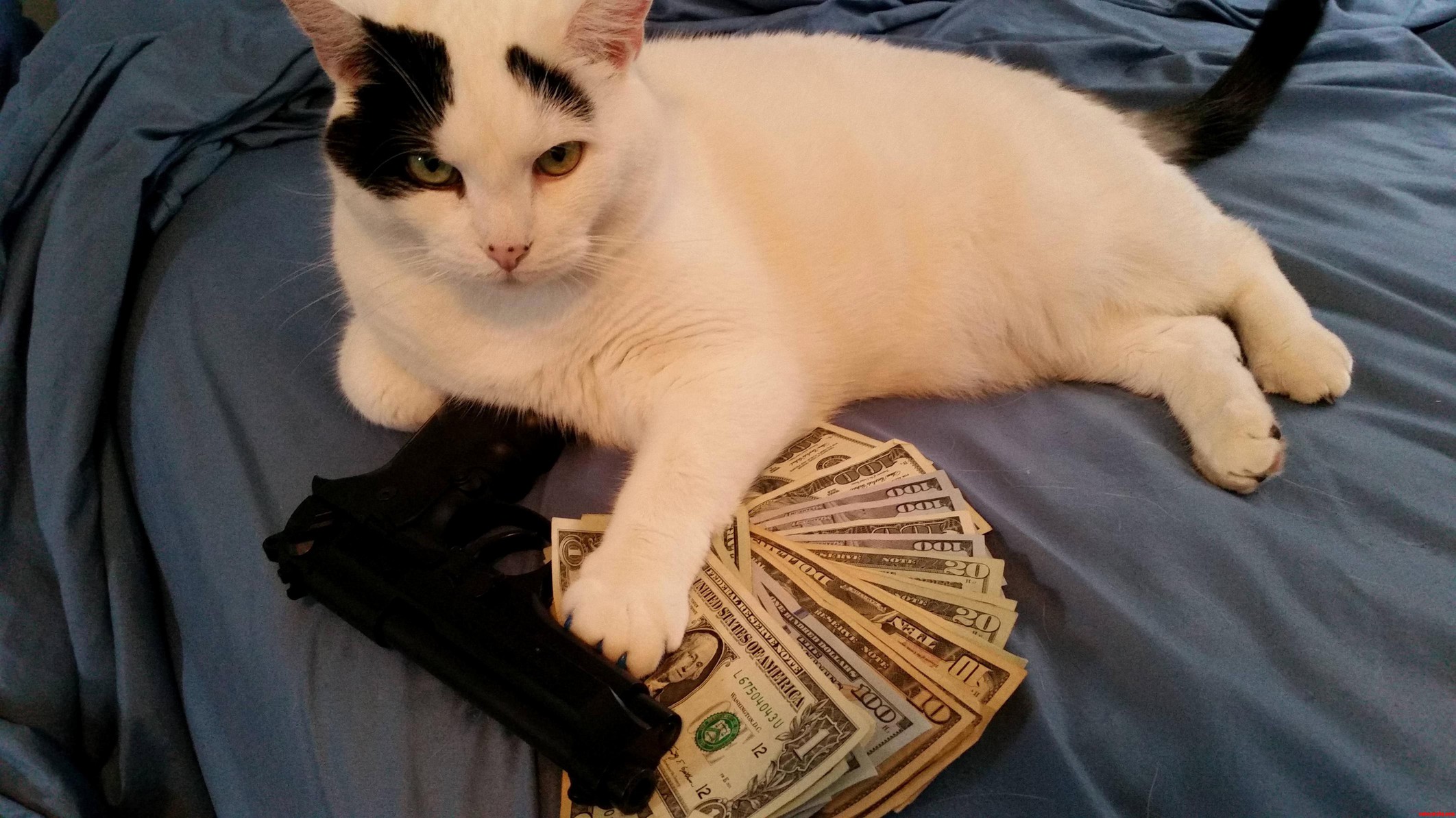 Shes Doing Her Heisenberg Impression Again...