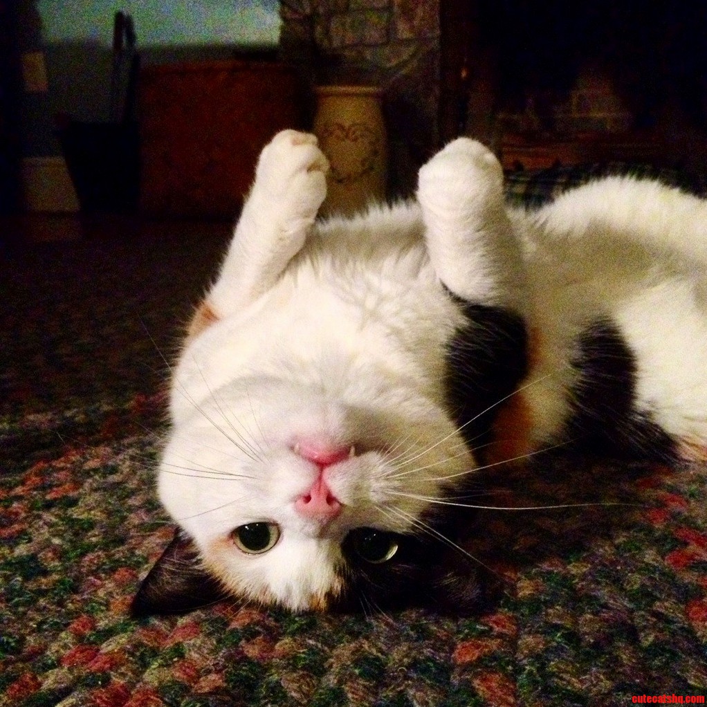 Shes Kind of a Doofus. but We Her.