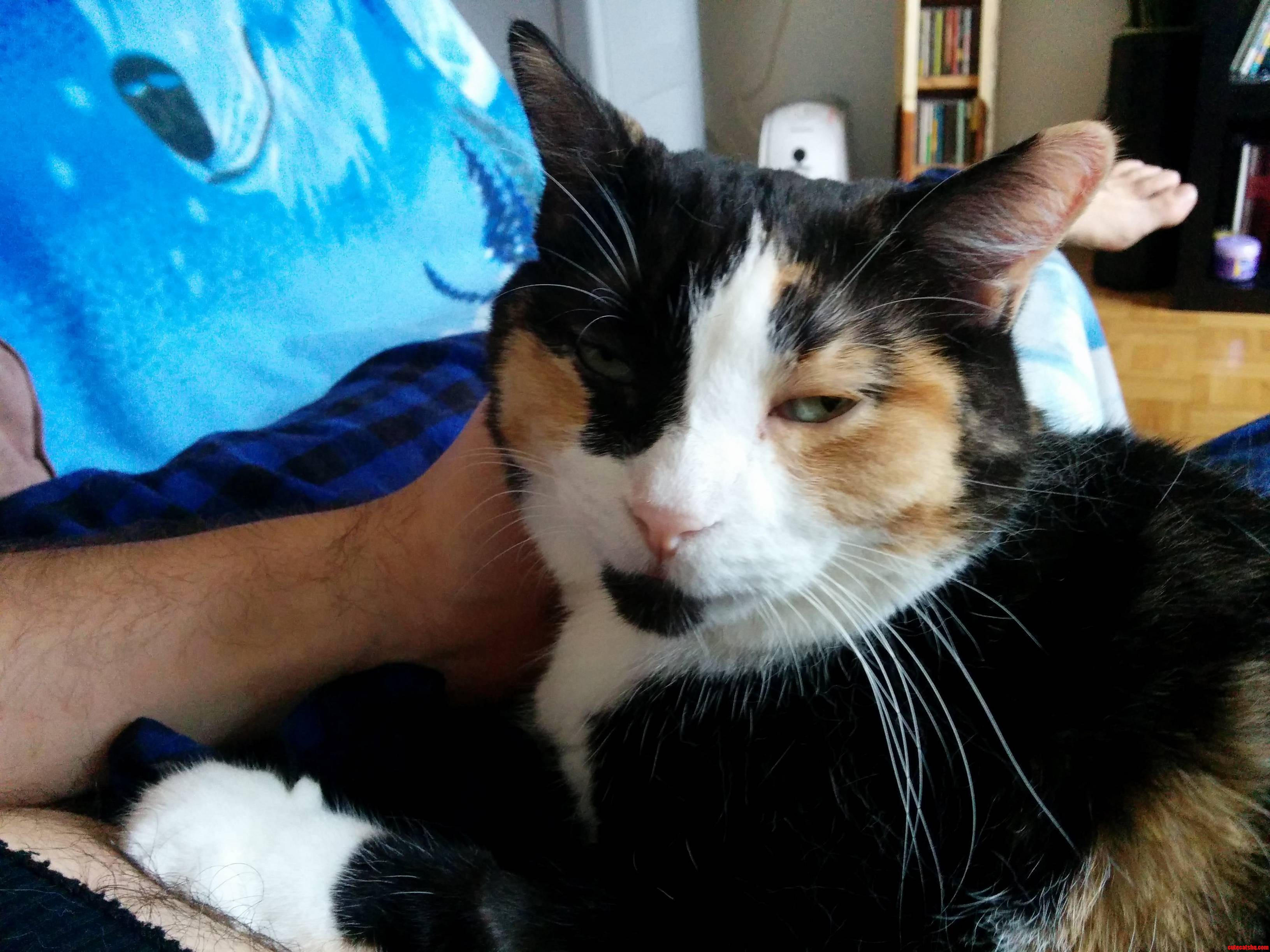Shes Looking at Me Like Its My Fault She Decided to Sit with Me and Cuddle.